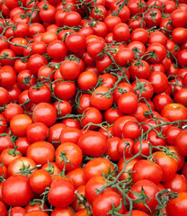 Tomatos on a market stall