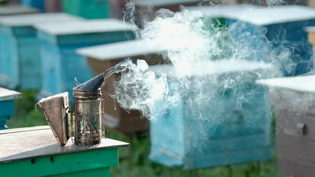 The smokehouse and smoker stands on a beehive and smoking. Background of beehives. The theme of beekeeping and apiculture concept. Honey and bees. Foundations to hive tools.