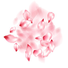 Obraz premium Pink sakura flower flying petals isolated on white vector background.
