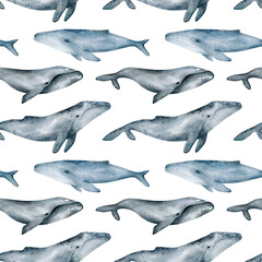 Obraz premium Watercolor seamless pattern with whale. Humpback, Southern right, blue whales. Realistic underwater animal. Marine mammal for baby textile, wallpaper, nursery decoration. Antarctic series.