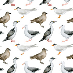 Watercolor seamless pattern with nothern birds. Antarctic tern, Imperial shag, Wandering albatross, South polar skua. Wild birds for baby textile, wallpaper, nursery decoration. Antarctic series.