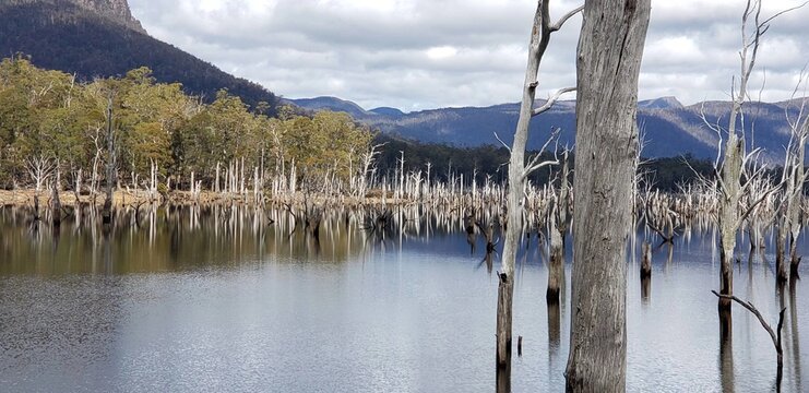 Lake and Mountains