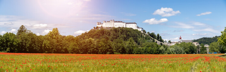 Festung Hohensalzburg in Summer. Blooming red poppy field and blue sky