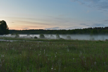 fog in the woods at dawn