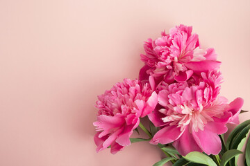 Beautiful pink peony flowers on pastel background. Greeting card, decorative floral composition....