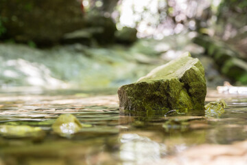 Spirituality and nature concept: Small stone in the fresh and clean water of a mountain creek