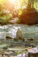Spirituality and nature concept: Small stone in the fresh and clean water of a mountain creek