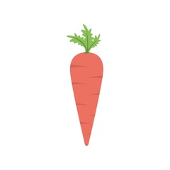 Realistic carrot icon in flat design style. Creative logo, mascot design element.