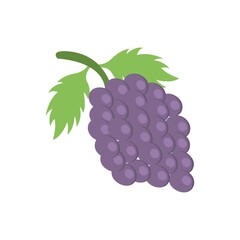 Ripe grapes icon in flat design style.