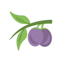 Fresh plum icon in flat design style. Organic fruits symbol.