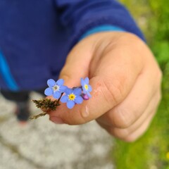 flower in hands