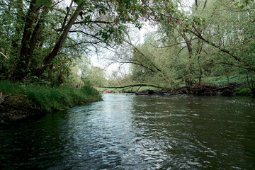 River rafting in summer. Packrafting in wilderness.