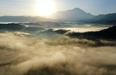 Scenery of Mount Kinabalu forest with low clouds on the morning from aerial scene.