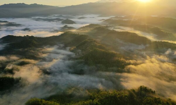 Scenery of forest with low clouds on the morning from aerial scene. © Mohd Khairil