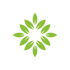 Fototapeta na wymiar Leaf logo design template - vector