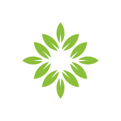 Leaf logo design template - vector