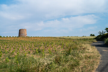 rural landscape with a road