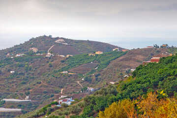 Fototapeta na wymiar The countryside near The Moorish village of Frigiliana nestling in the mountains, Costa del Sol, Andalucia, Spain