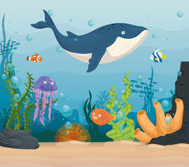 blue whale with fishes and wild marine animals in ocean, sea world dwellers, cute underwater creatures,habitat marine concept vector illustration design