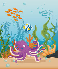 octopus with fishes marine animals in ocean, sea world dwellers, cute underwater creatures,habitat marine concept vector illustration design