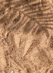 Sand on the beach concept frame with tropical leaves shadows. Summer top view. Copy space