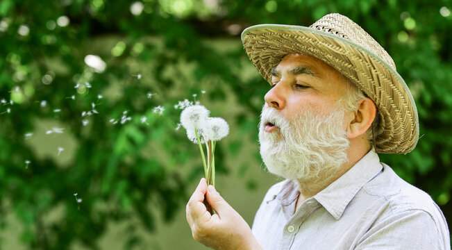 Lonely grandpa blowing dandelion seeds in park. Mental health. Tranquility and serenity. Harmony of soul. Elderly man in straw summer hat. Happy and carefree retirement. Peace of mind. Peacefulness