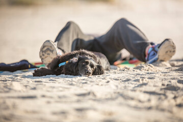 Pies i jego opiekun leżą na plaży