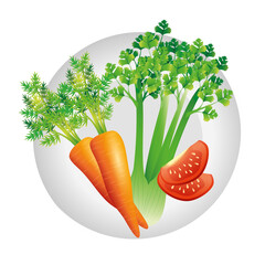 carrot celery and tomato design, Vegetable organic food healthy fresh natural and market theme Vector illustration