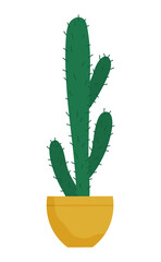Evergreen plant with prickly thorns in yellow pot. Cactus that grown indoor in potting soil. Object of decor isolated on white cacti. Vector illustration of tropical houseplant in flat style
