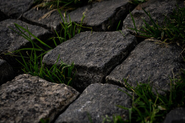 cobblestones with grass