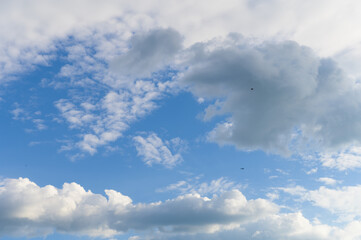 Fototapeta premium Blue sky with amazing vibrant clouds and birds