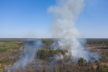 Fire in the forest, Zhytomyr region, Ukraine. Spring 2020.