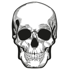 Black and white image. Skull on a white background. Avatar.