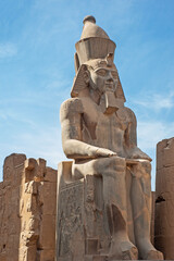 Fototapeta premium Statue and hieroglyphic carvings at an ancient egyptian temple