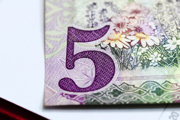 Close up of five saudi riyal banknote. Focus on figure 5; others in gradient blur.