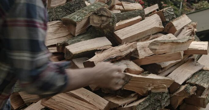 Man stacking woodpile with freshly cut red oak fire wood, static lifting new wood from ground - with audio