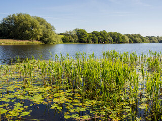 Beautiful morning at Pickmere Lake, Pickmere, Knutsford, Cheshire, UK