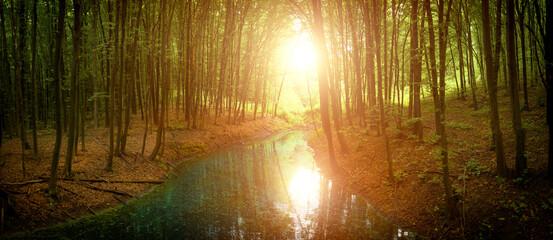 Calm wide river in a mystical forest.