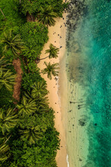 Tropical beach, amazing transparent sea water and palm trees in the white sand