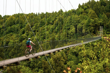 Woman biking on a large suspension bridge in a tropical forest at Timber Trail