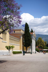 Photo from Athens national gardens and public Zappeion hall with beautiful Jacaranda trees in blossom, Athens centre, Attica, Greece