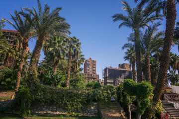 Fototapeta na wymiar Views on the banks of the Nile in Cairo