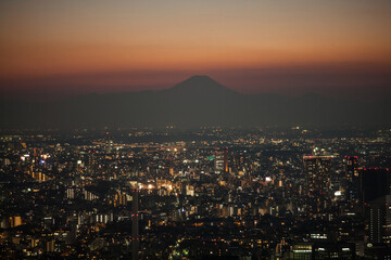 Night view of Tokyo with Fuji mountain, Japan