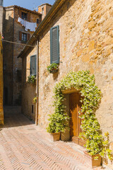 Fototapeta na wymiar Sunny streets with colorful flowers with contrasting shades. Walk the Tuscan town