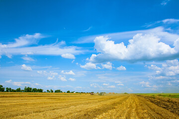 A field with mown grain wheat rye barley and a beautiful sky landscape