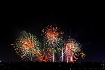 Crowd looks holiday fireworks in dark evening sky.