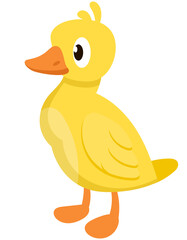 Gosling side view. Farm animal in cartoon style.