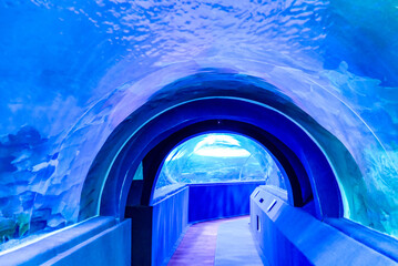 A lot of fish in Aquarium tunnel at Chiang Mai zoo aquarium is the world's longest aquarium tunnel...