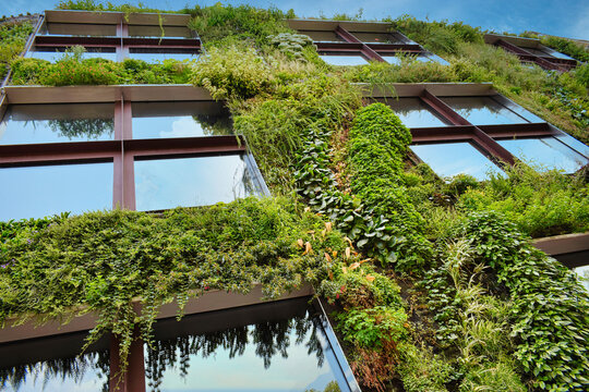 Fototapeta Casa jardin ecológica en Paris
