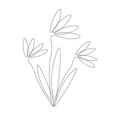 Flowers on white background, vector illustration
